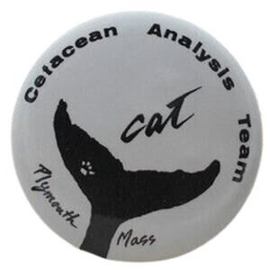 Cetacean Analysis Team CAT (Whale Tail) Plymouth MA 2.25" Pinback